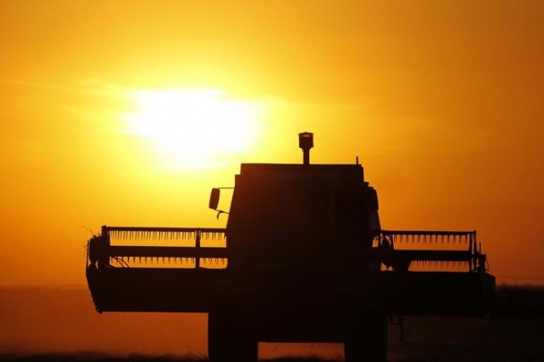 AGRICULTURA: A GRANDE CHANCE DE EXPORTAR