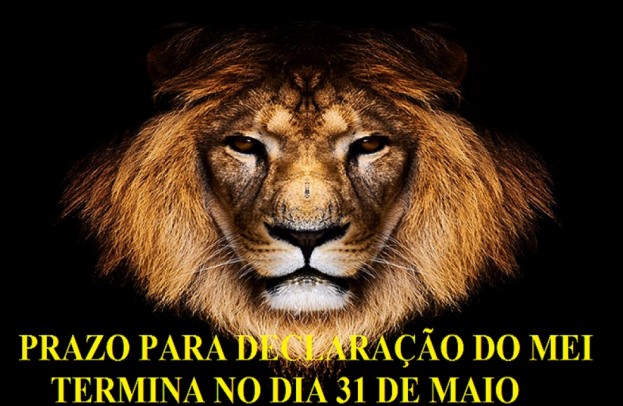 PRAZO PARA DECLARAÃ‡ÃƒO DO MEI TERMINA NO DIA 31 DE MAIO