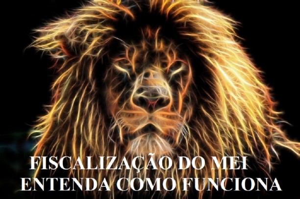 FISCALIZAÃ‡ÃƒO DO MEI: ENTENDA COMO FUNCIONA