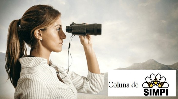 UMA VISÃƒO EMPRESARIAL DO BRASIL