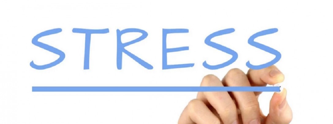 NegÃ³cios com stress, como lidar?