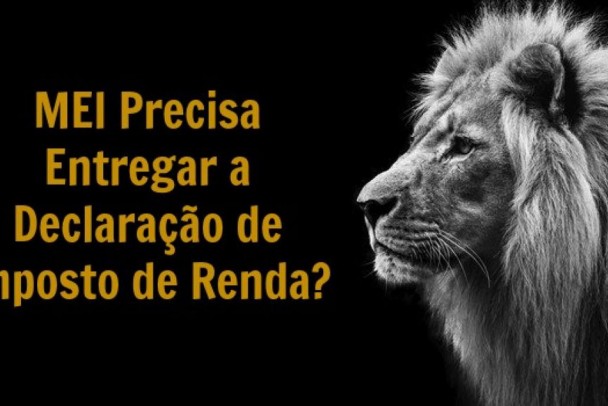 â€‹MEI Ã© obrigado a declarar imposto de renda pessoa fÃ­sica?