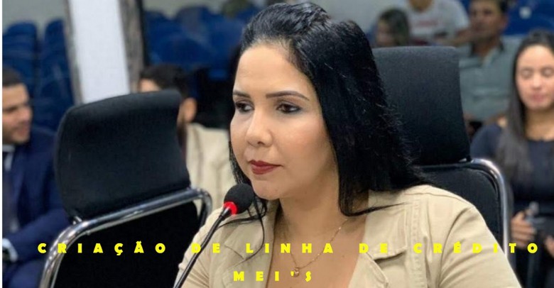 CRISTIANE LOPES PROPÃ•E LINHA DE CRÃ‰DITO A MICROEMPREENDEDORES