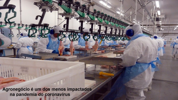 AgronegÃ³cio Ã© um dos menos impactados na pandemia do coronavÃ­rus