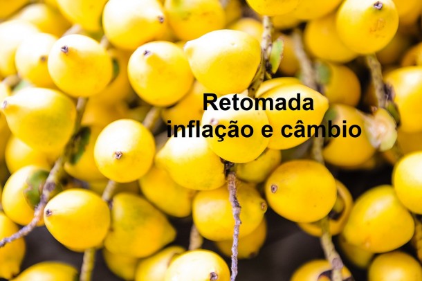Retomada, inflaÃ§Ã£o e taxa de cÃ¢mbio