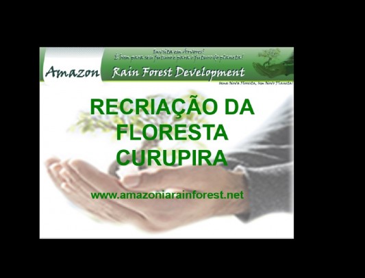 Sustentabilidade â€“ responsabilidade de todos