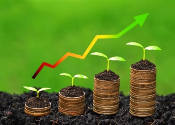 Reflexos dos custos de produção na economia