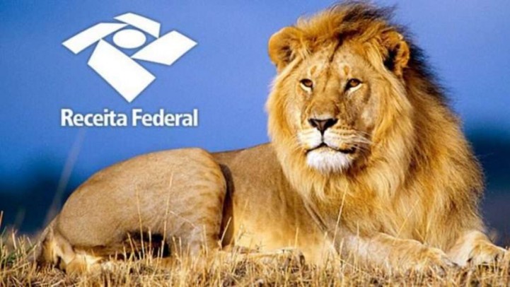 Novas decisões legislativas para o final de 2021