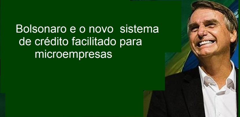 Bolsonaro institui sistema de crédito facilitado para microempresas