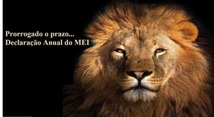 Receita prorroga entrega da Declaração Anual do MEI