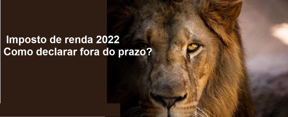 Imposto de renda 2022: como declarar fora do prazo?