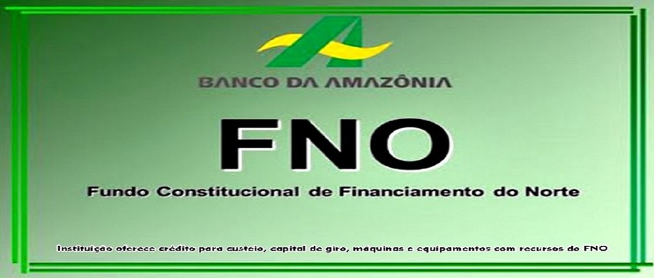 Capital para a empresa? Conhece o FNO?