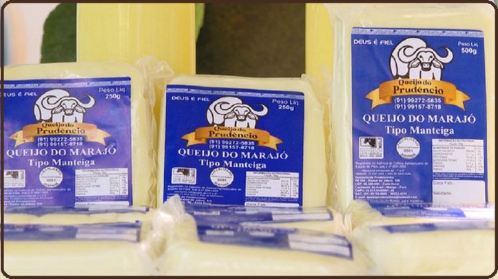 Queijo de búfala da Ilha de Marajó, um bom exemplo para Rondônia e para o país