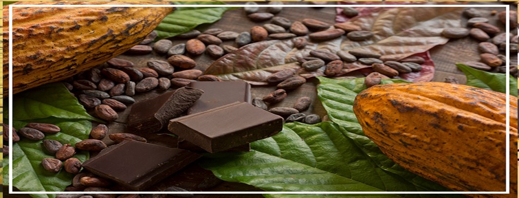 Chocolate caseiro: Um mercado pouco explorado nos estados produtores de cacau