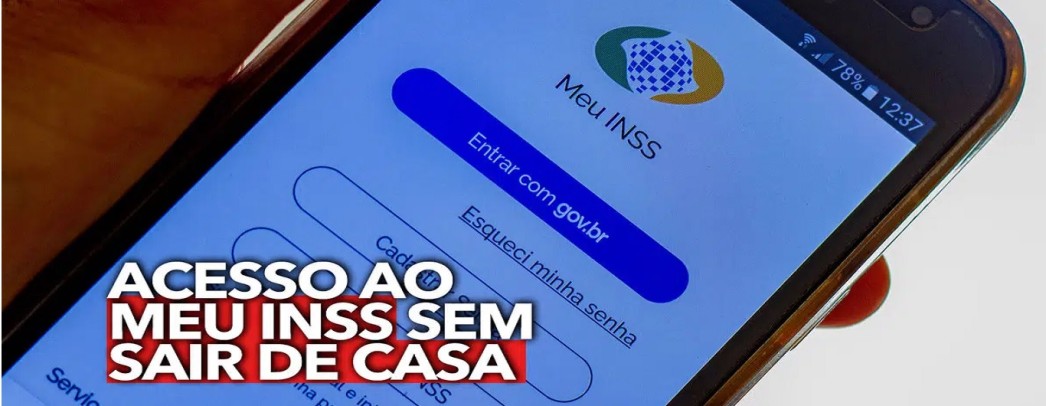 MEI gostaria de ver como está sua situação no INSS?