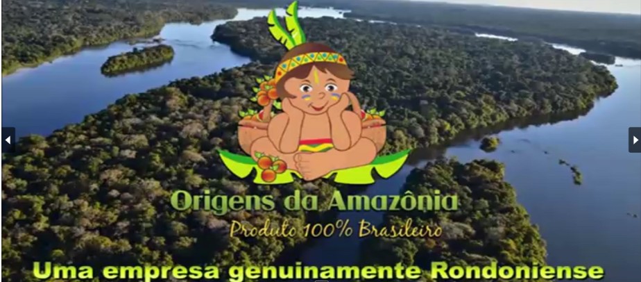 Empreender com sustentabilidade: a visão do empresário que valoriza as frutas amazônicas