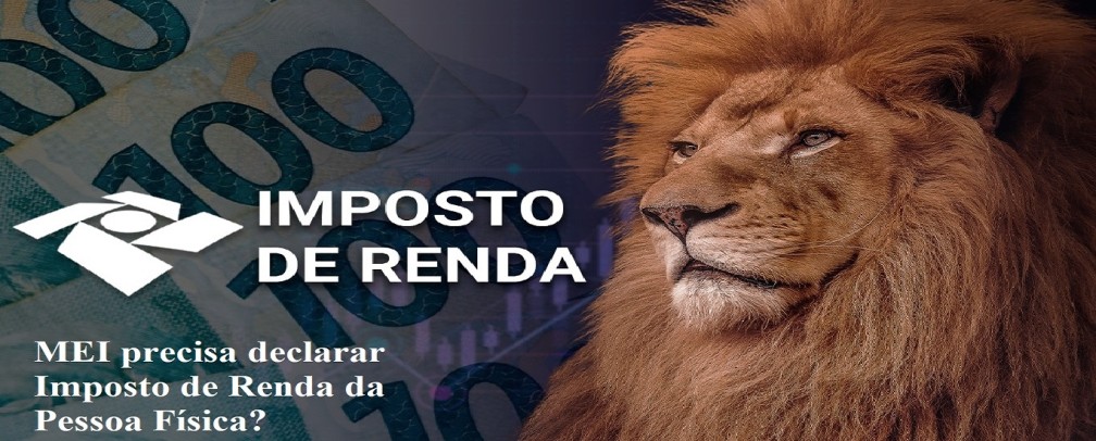 MEI precisa fazer Imposto de Renda da Pessoa Física?