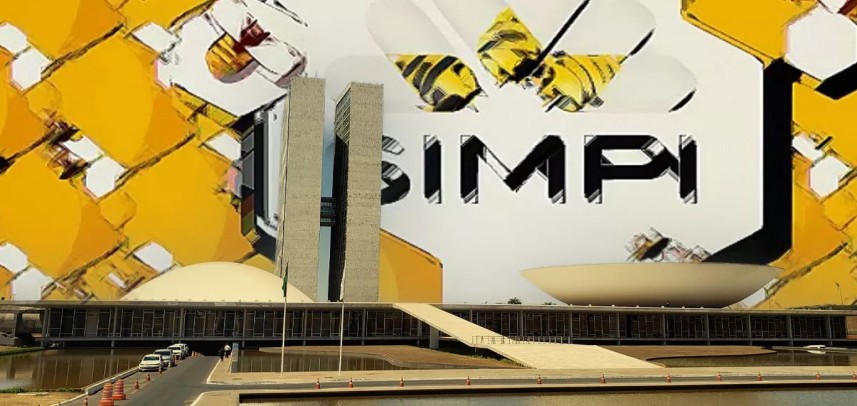Simpi está no Congresso Nacional II