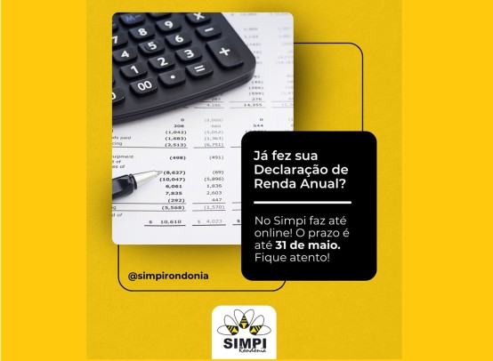 MEI faz Declaração de Imposto de Renda Pessoa Física?