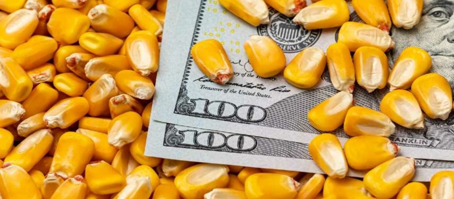 Vem aí dólar em alta, desconfiança fiscal e muita pressão externa