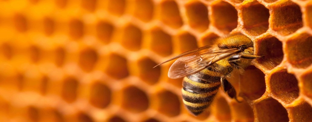 Rondônia teve aumento de 2,94% no número de novas pequenas empresas, mas muito abaixo da média nacional