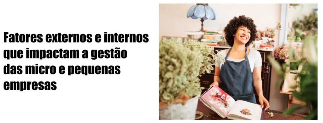Fatores externos e internos que impactam as micro e pequenas empresas