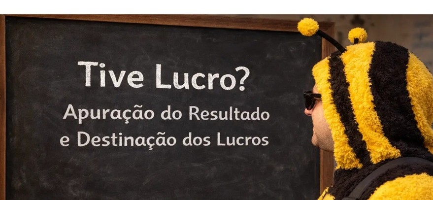 Tive Lucro? Apuração do Resultado e Destinação dos Lucros